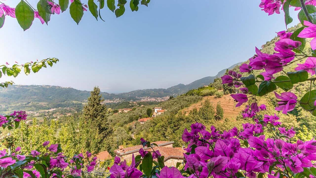 Photo of Outdoor in Forte dei Marmi