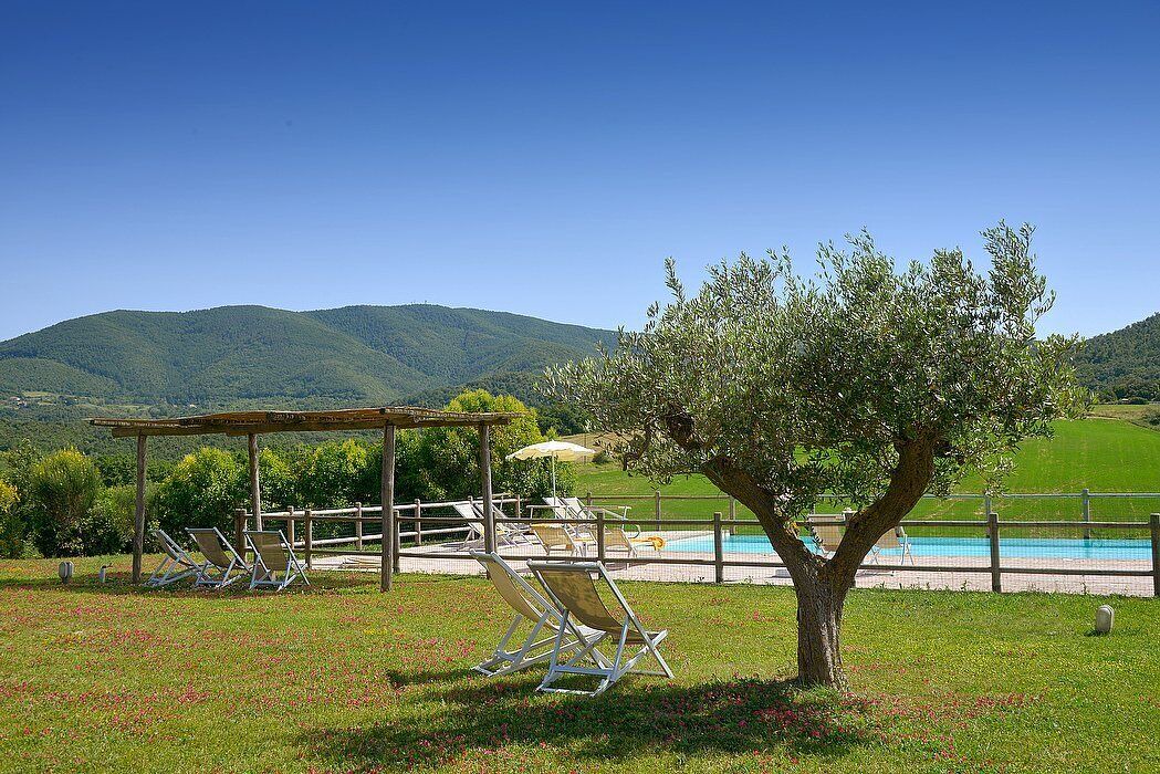 Photo of Outdoor in Bibbona