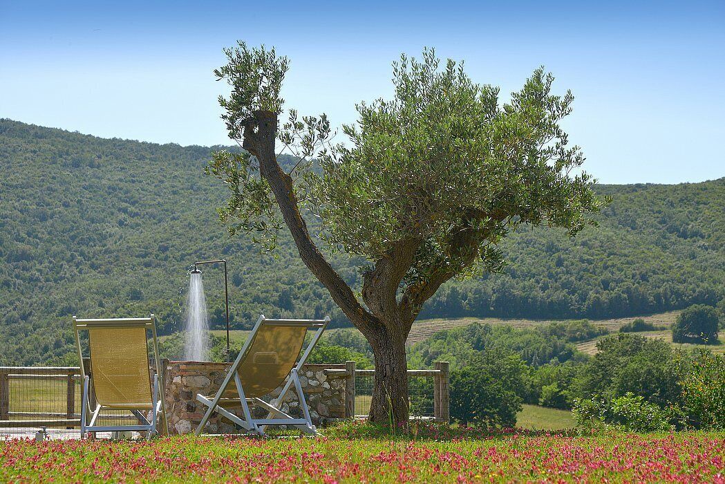 Photo of Outdoor in Bibbona