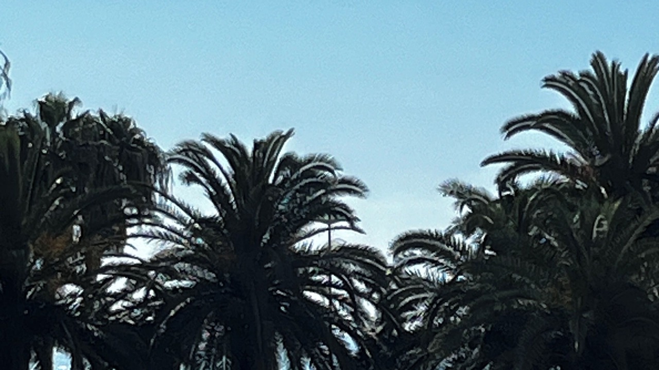 Photo of Outdoor in Cros-de-Cagnes
