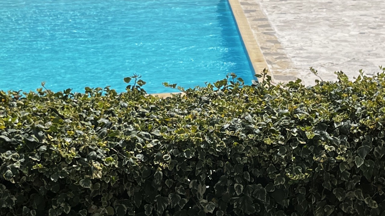 Photo of Outdoor in Cros-de-Cagnes