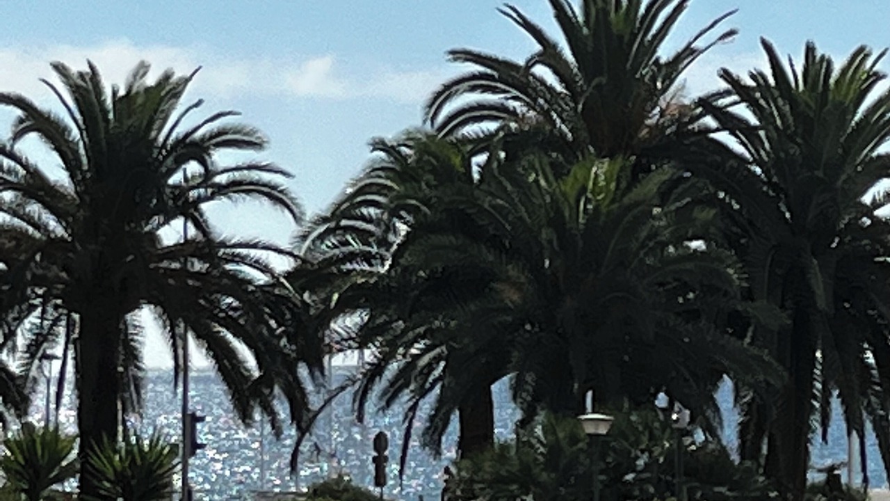 Photo of Outdoor in Cros-de-Cagnes