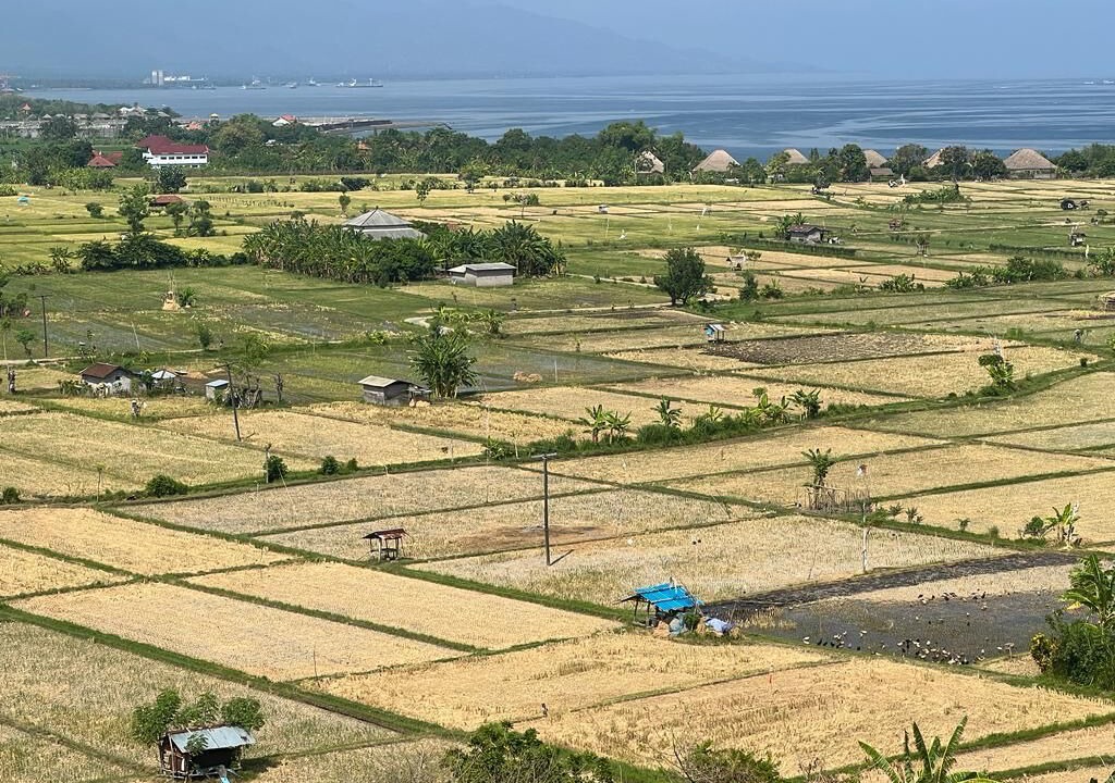Photo of Outdoor in Umeanyar