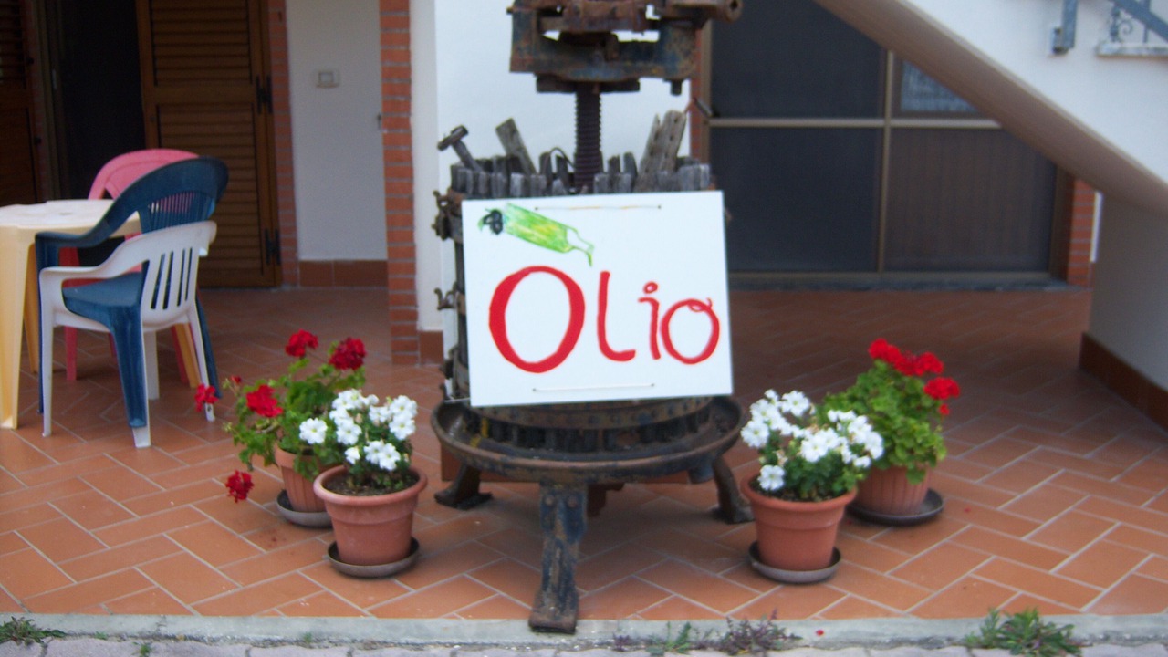 Photo of Outdoor in Rosignano Marittimo