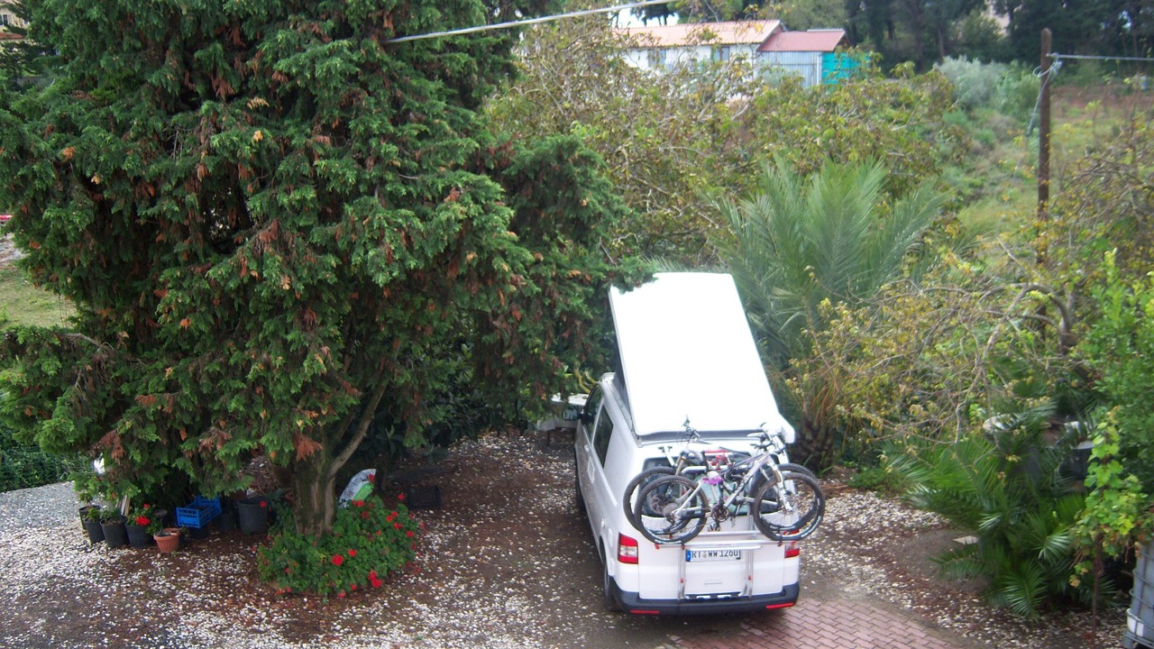 Photo of Outdoor in Rosignano Marittimo