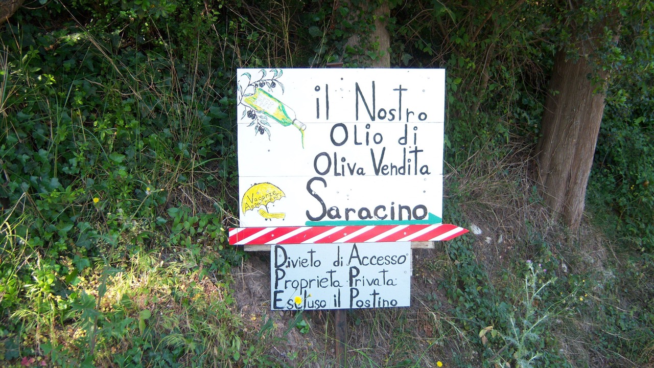 Photo of Outdoor in Rosignano Marittimo