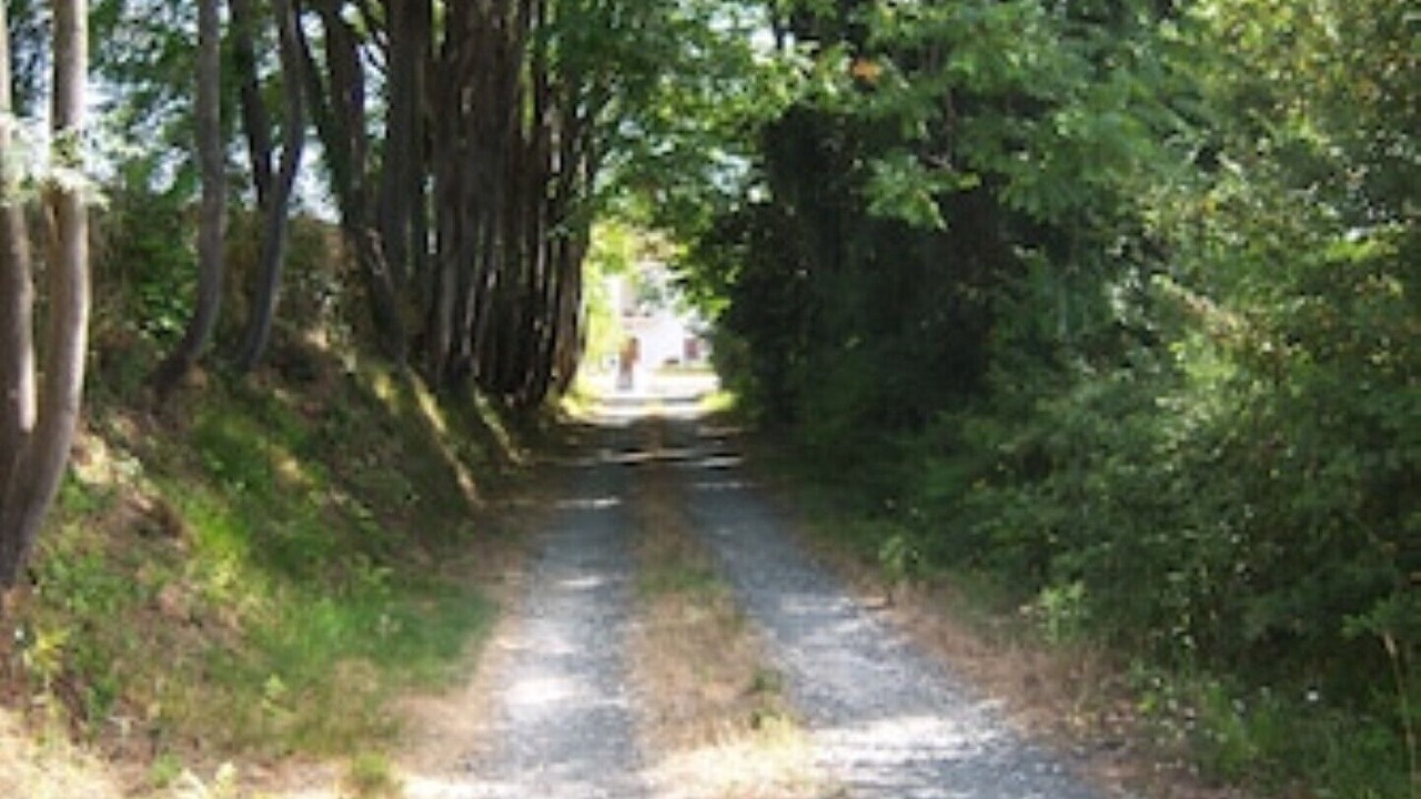 Photo of Others in Rosignano Marittimo
