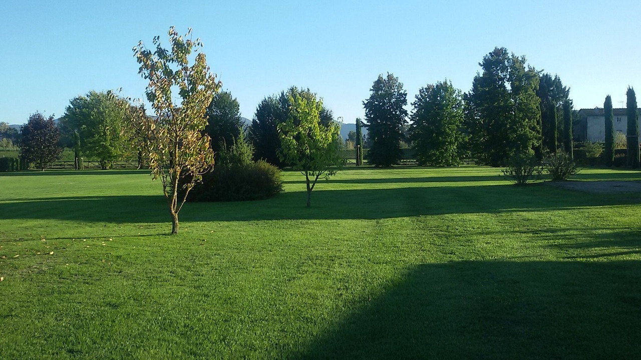 Photo of Outdoor in Monte San Quirico