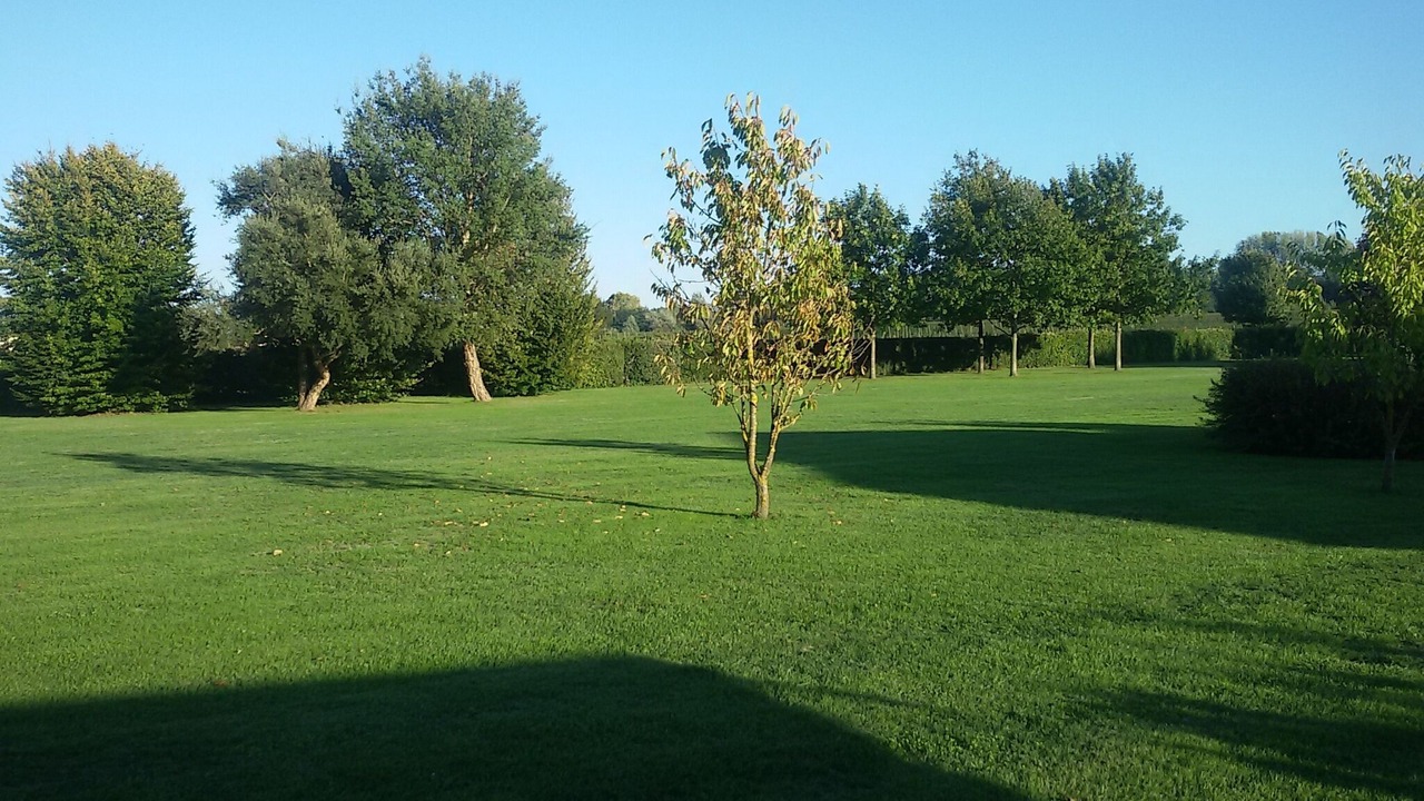 Photo of Outdoor in Monte San Quirico