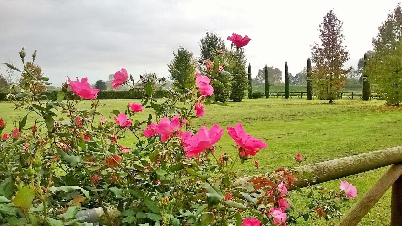Photo of Outdoor in Monte San Quirico