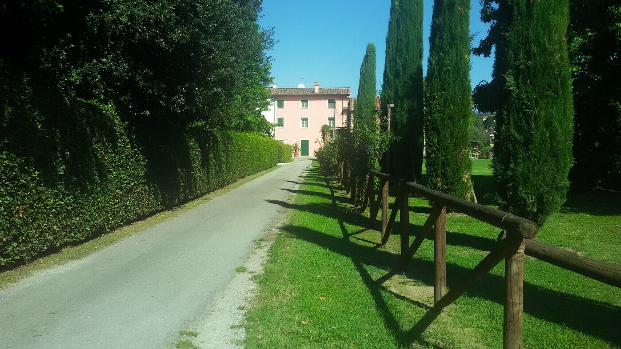 Photo of Outdoor in Monte San Quirico