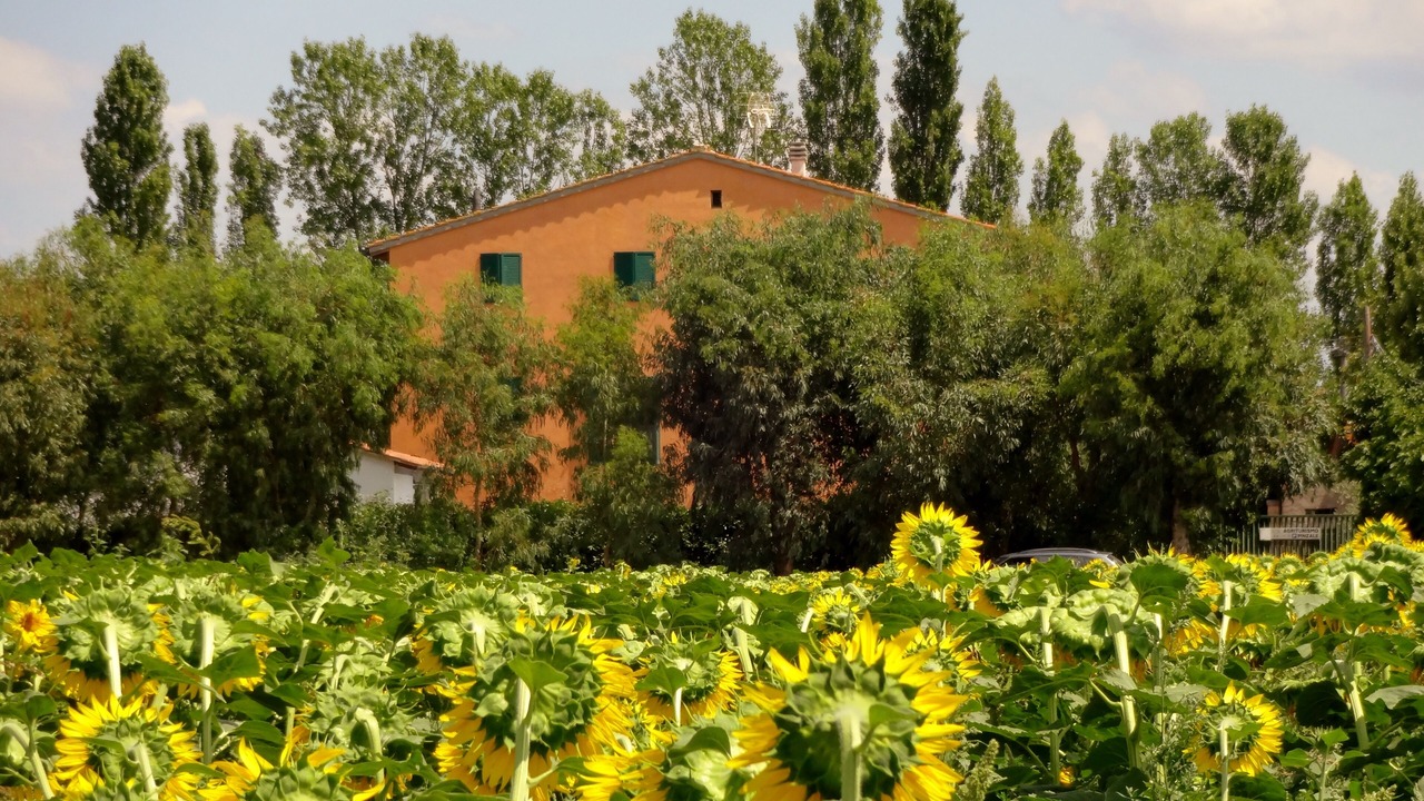 Photo of Outdoor in Latignano