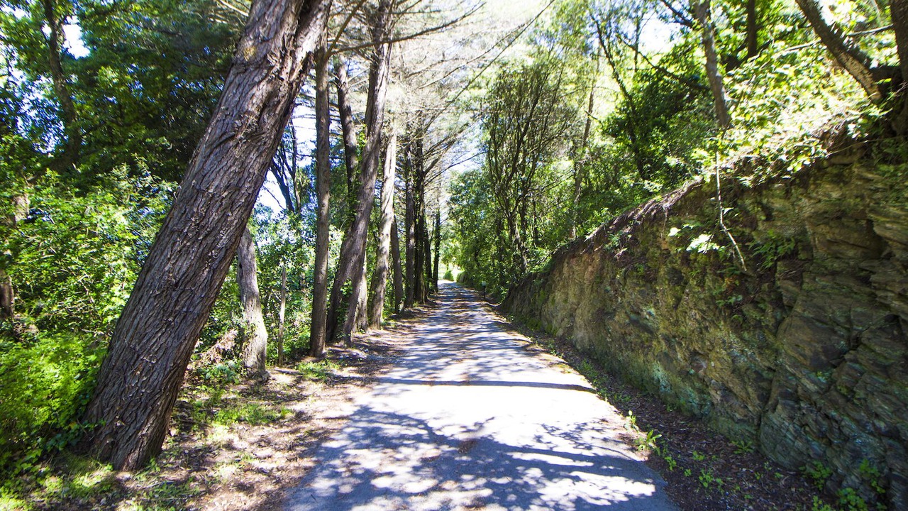 Photo of Outdoor in Campiglia Marittima