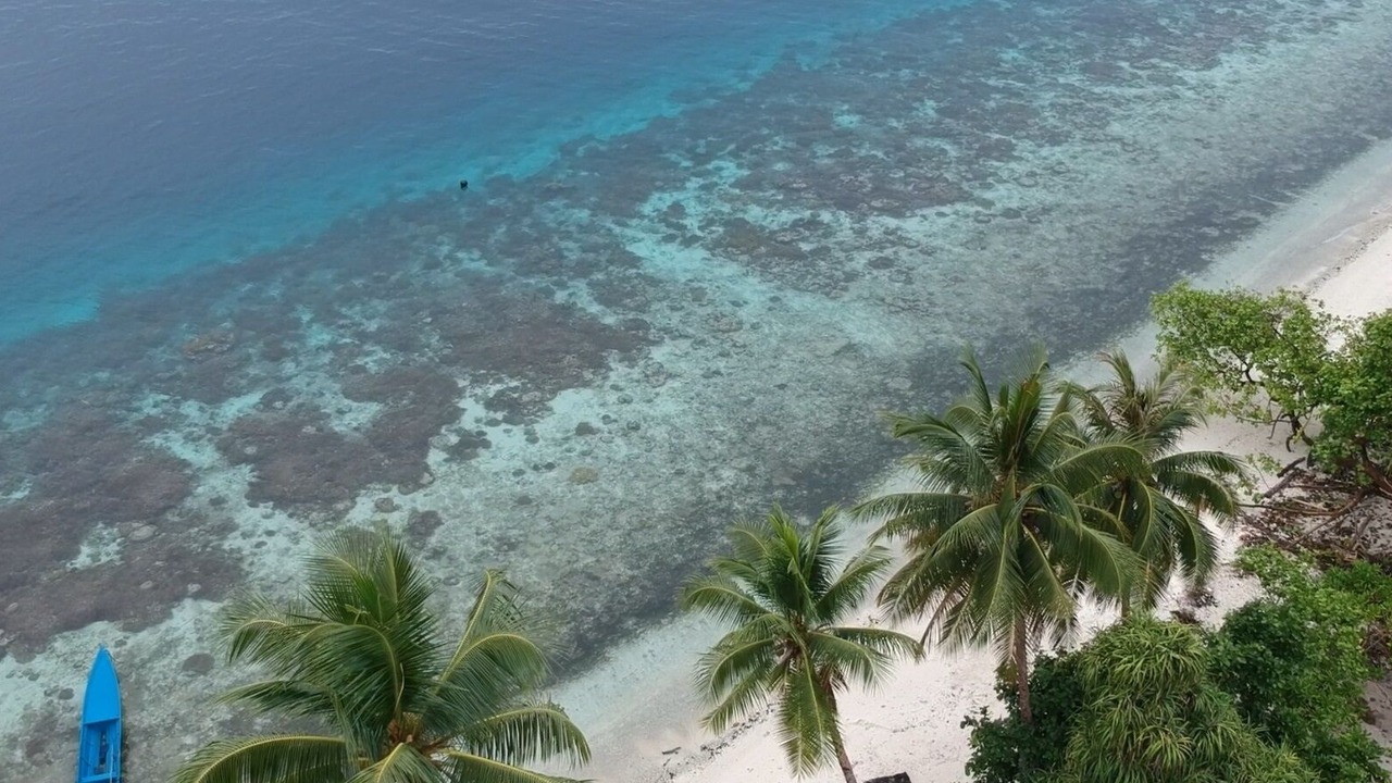 Photo of Others in Waisai