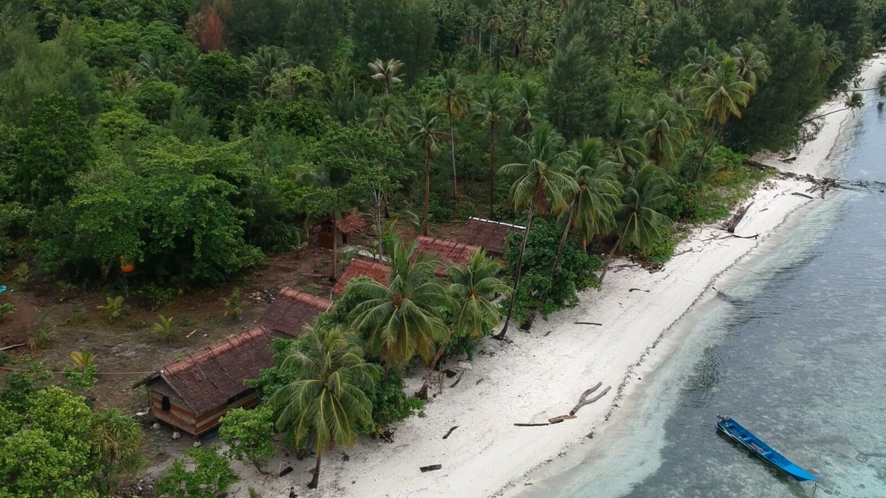 Photo of Others in Waisai
