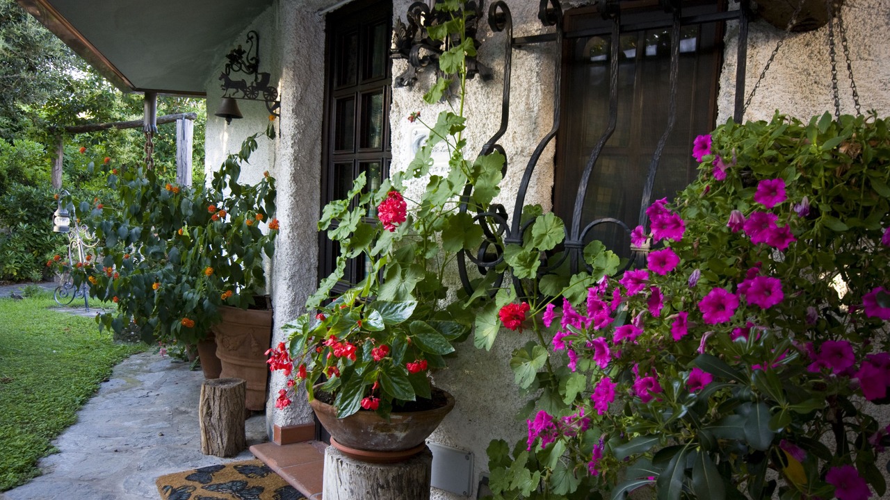 Photo of Outdoor in Massarosa