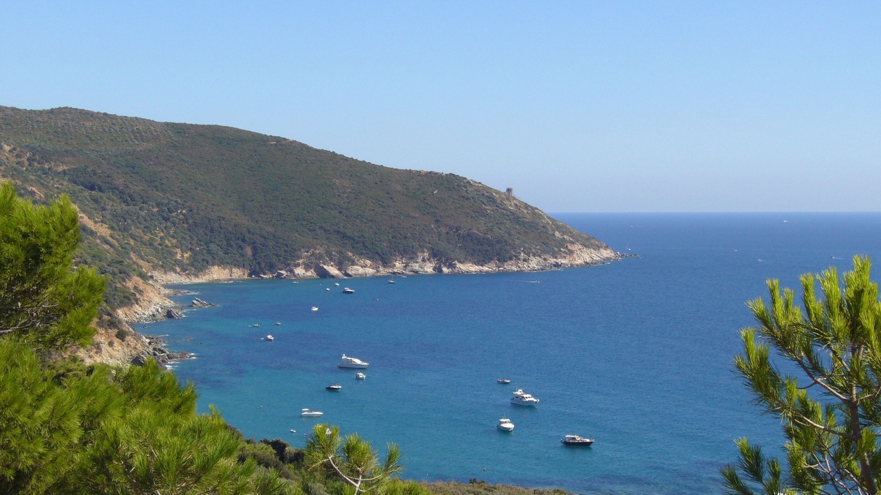 Photo of Others in Campiglia Marittima