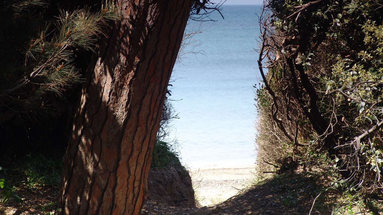 Photo of Others in Campiglia Marittima