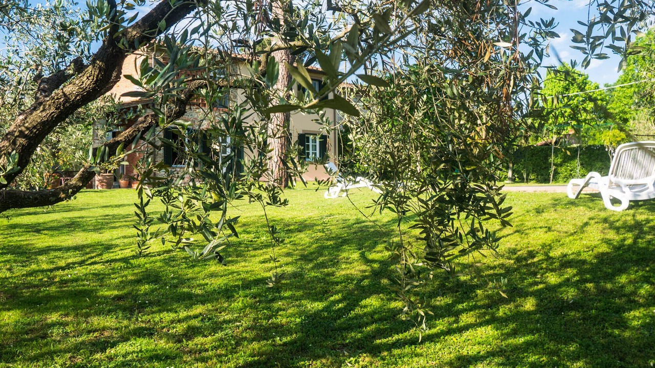 Photo of Outdoor in SantʼAndrea di Compito