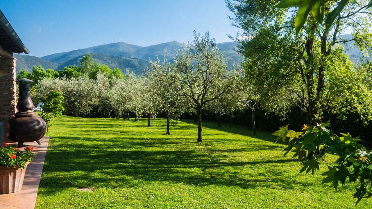 Photo of Outdoor in SantʼAndrea di Compito