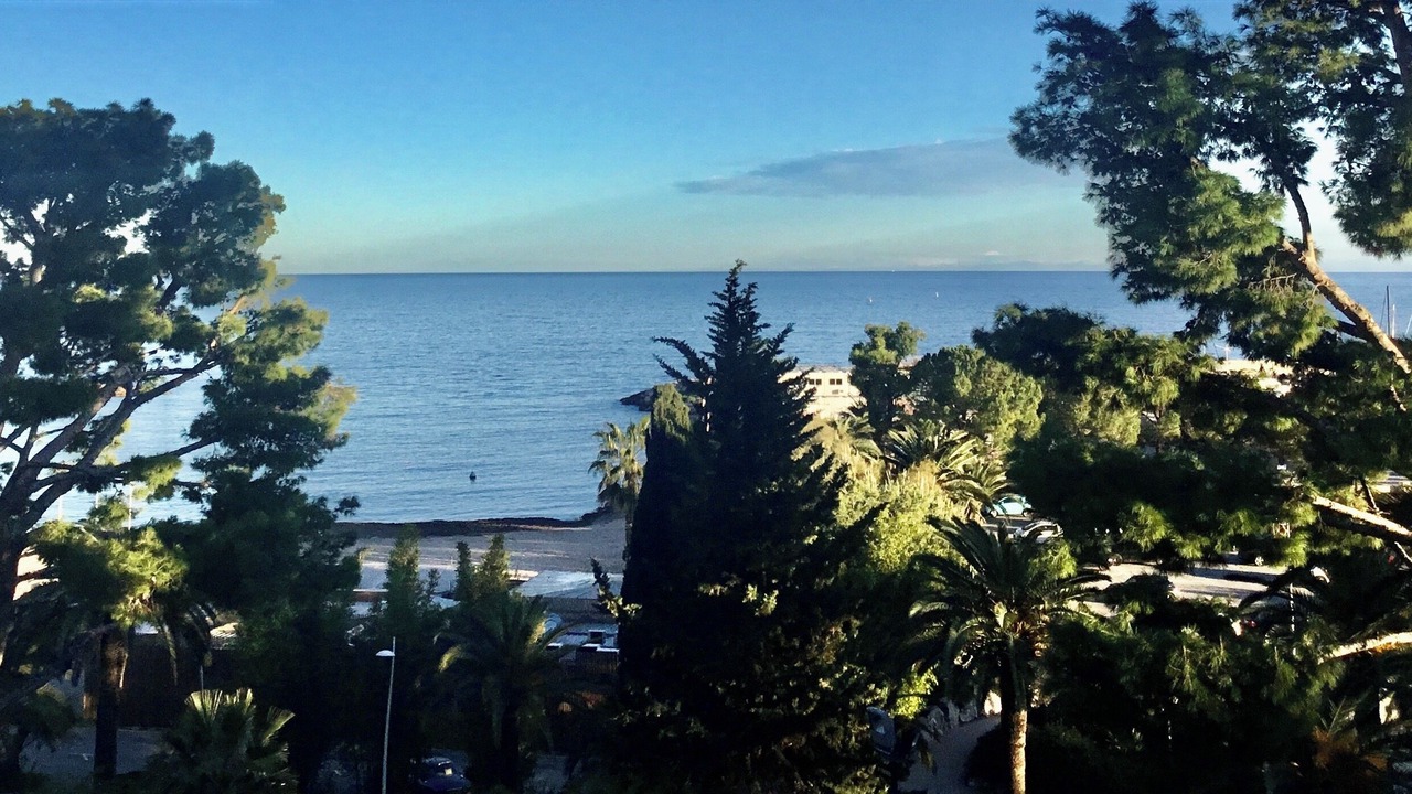Photo of Others in Beaulieu-sur-Mer