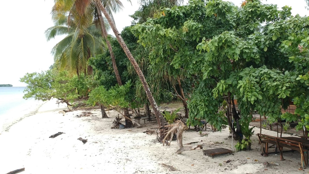 Photo of Outdoor in Pulau Fam