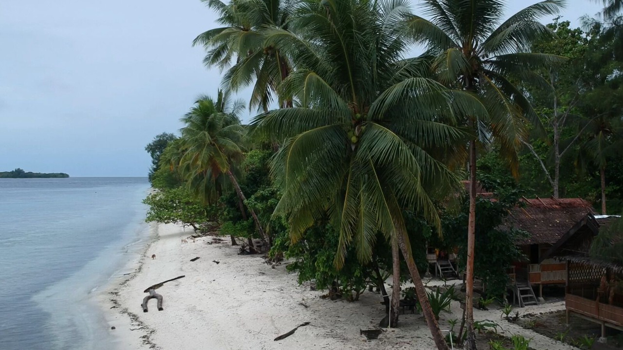 Photo of Outdoor in Pulau Fam