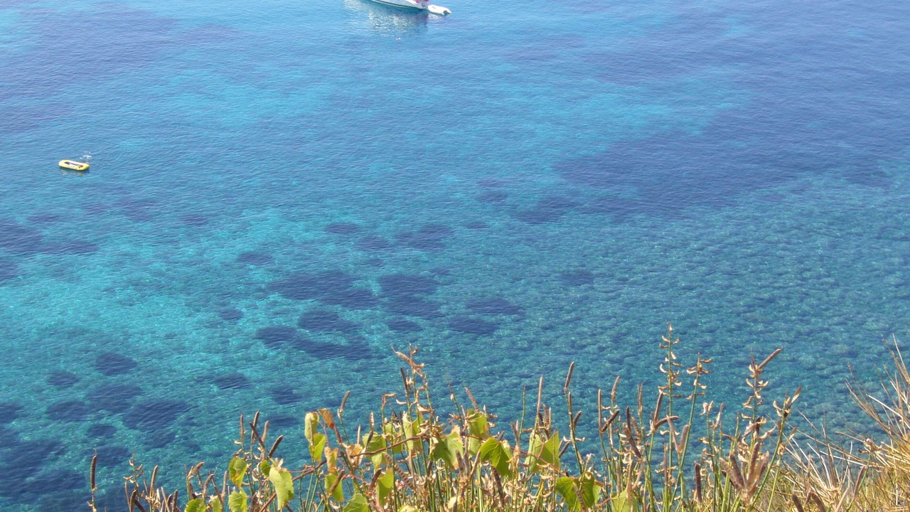 Photo of Outdoor in Campiglia Marittima