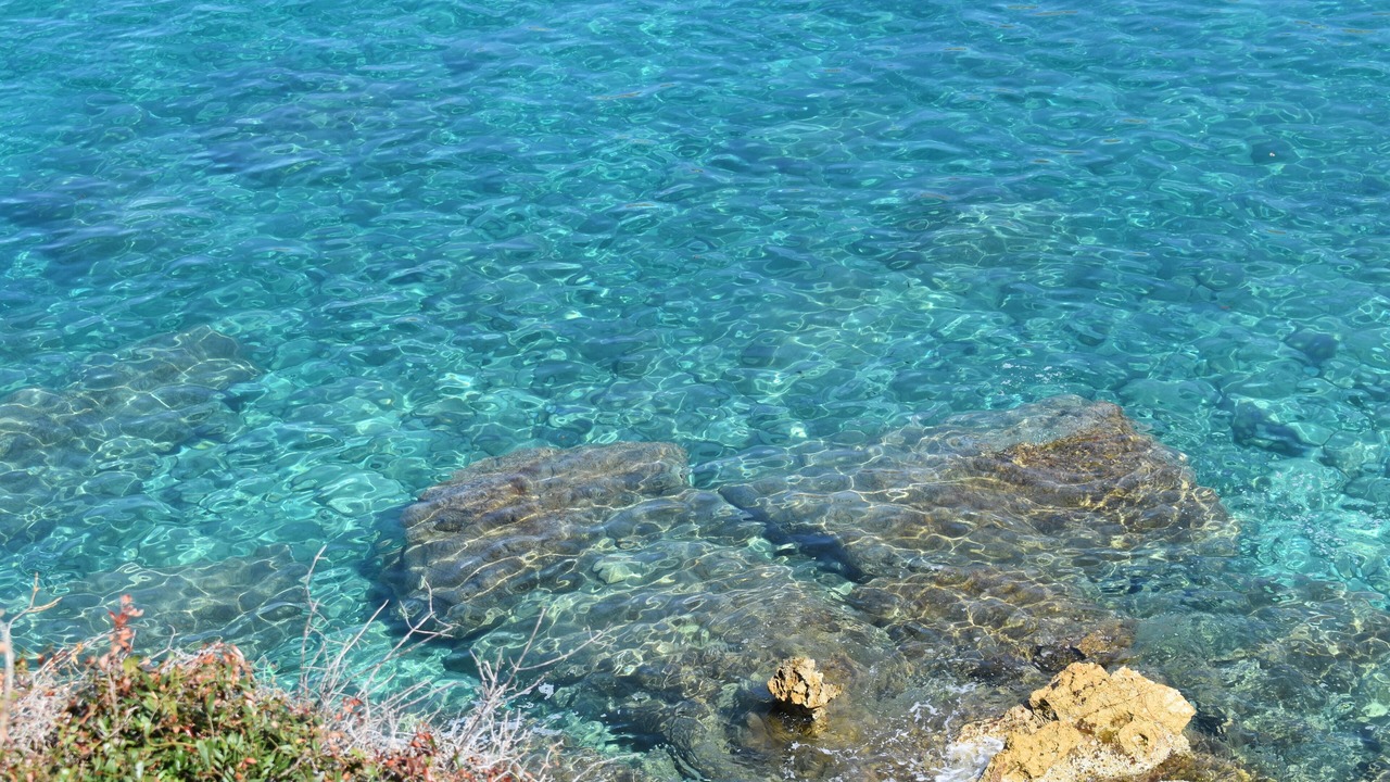 Photo of Outdoor in Rio nell'Elba