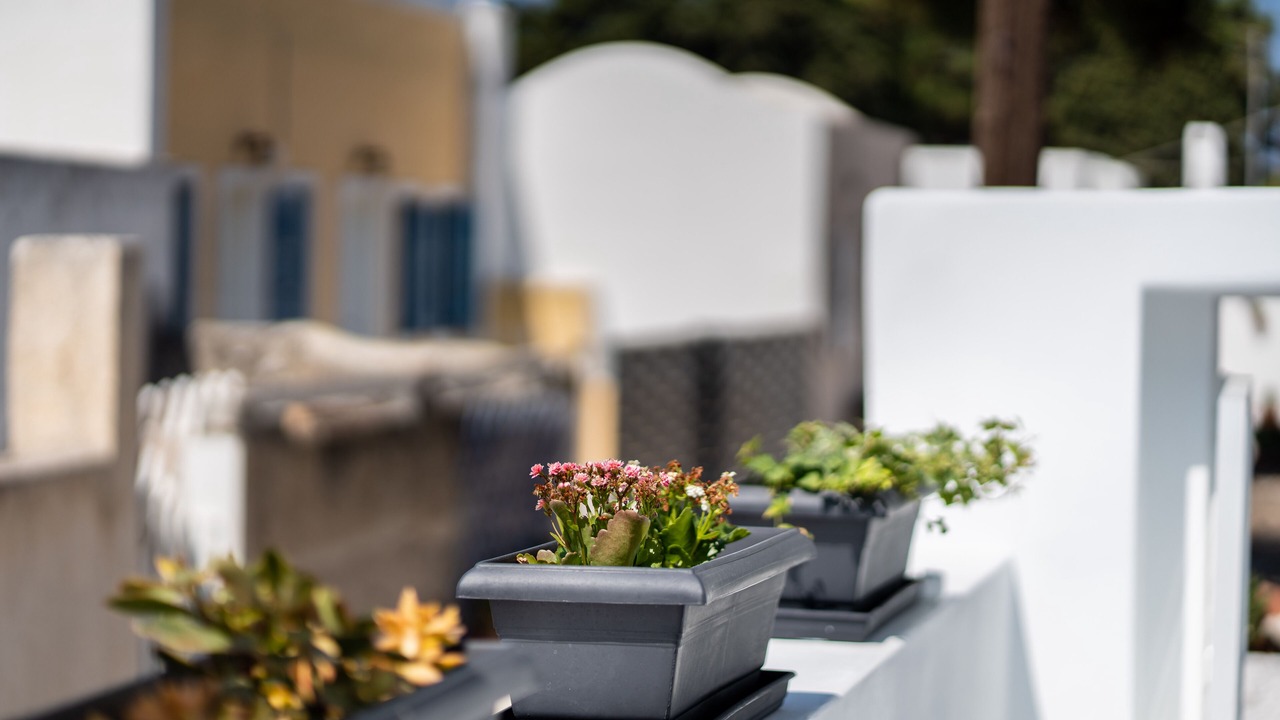 Photo of Outdoor in Pyrgos
