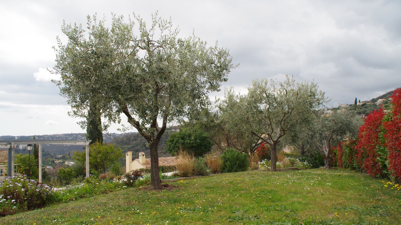 Photo of Outdoor in Gattieres