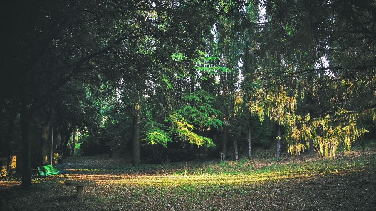 Photo of Outdoor in Poggiarello