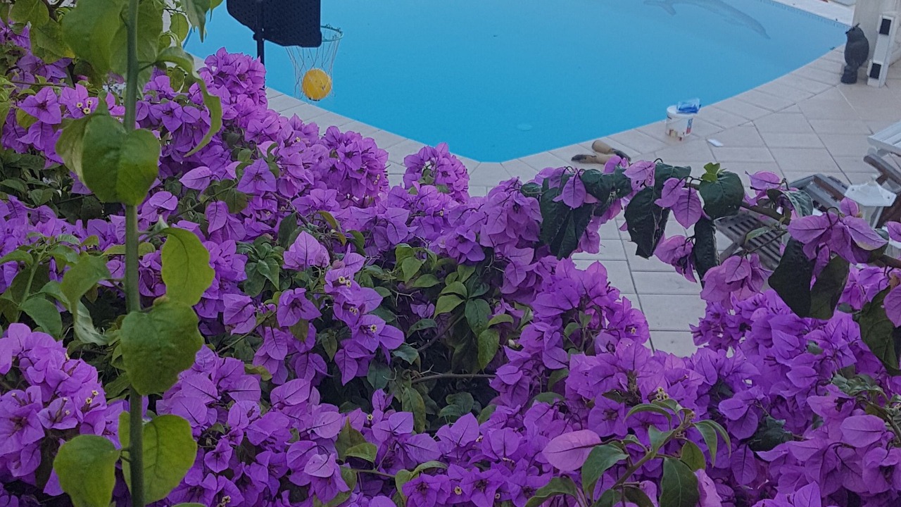 Photo of Outdoor in Lazaret