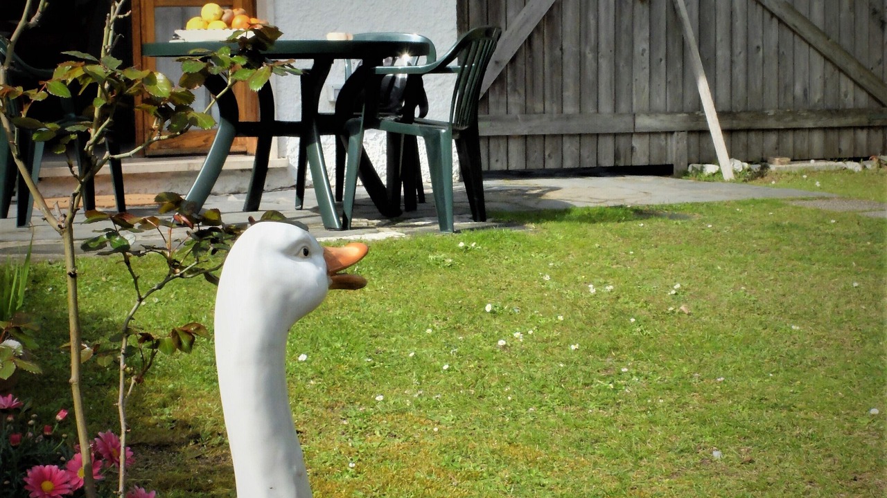 Photo of Outdoor in Torre del Lago Puccini