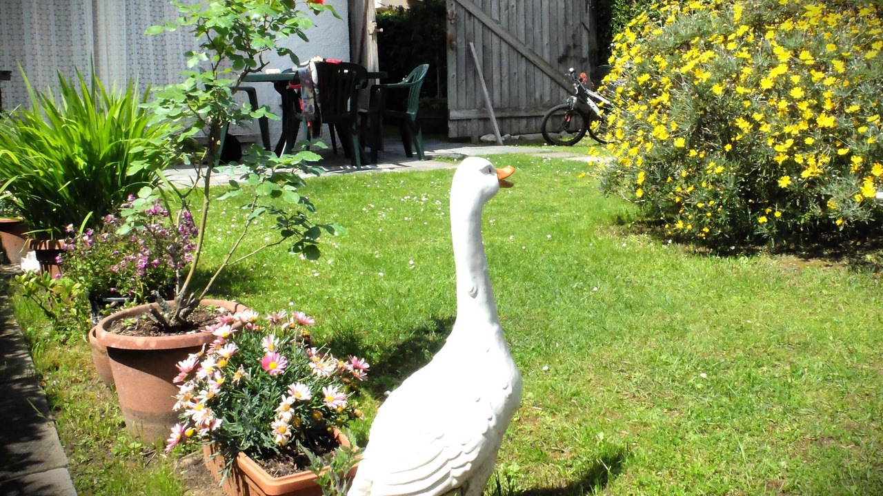 Photo of Outdoor in Torre del Lago Puccini