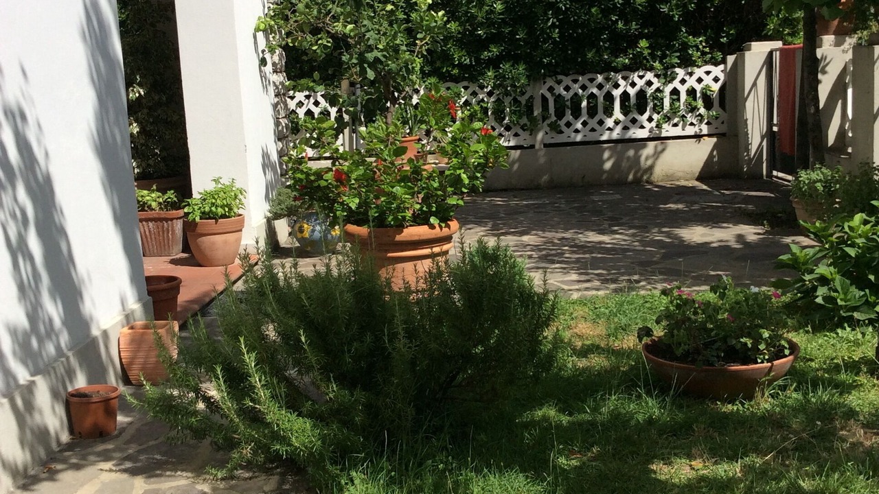 Photo of Outdoor in Pisa