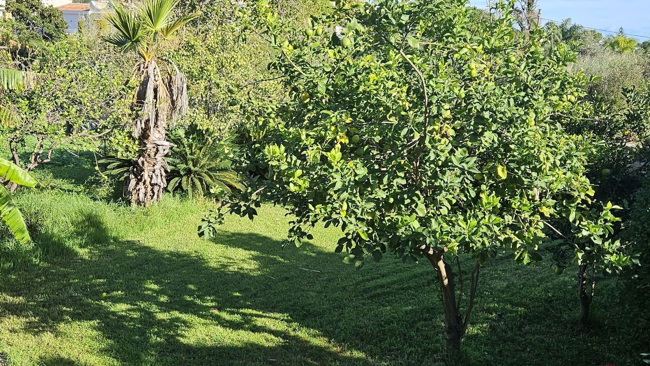 Photo of Outdoor in Partanna