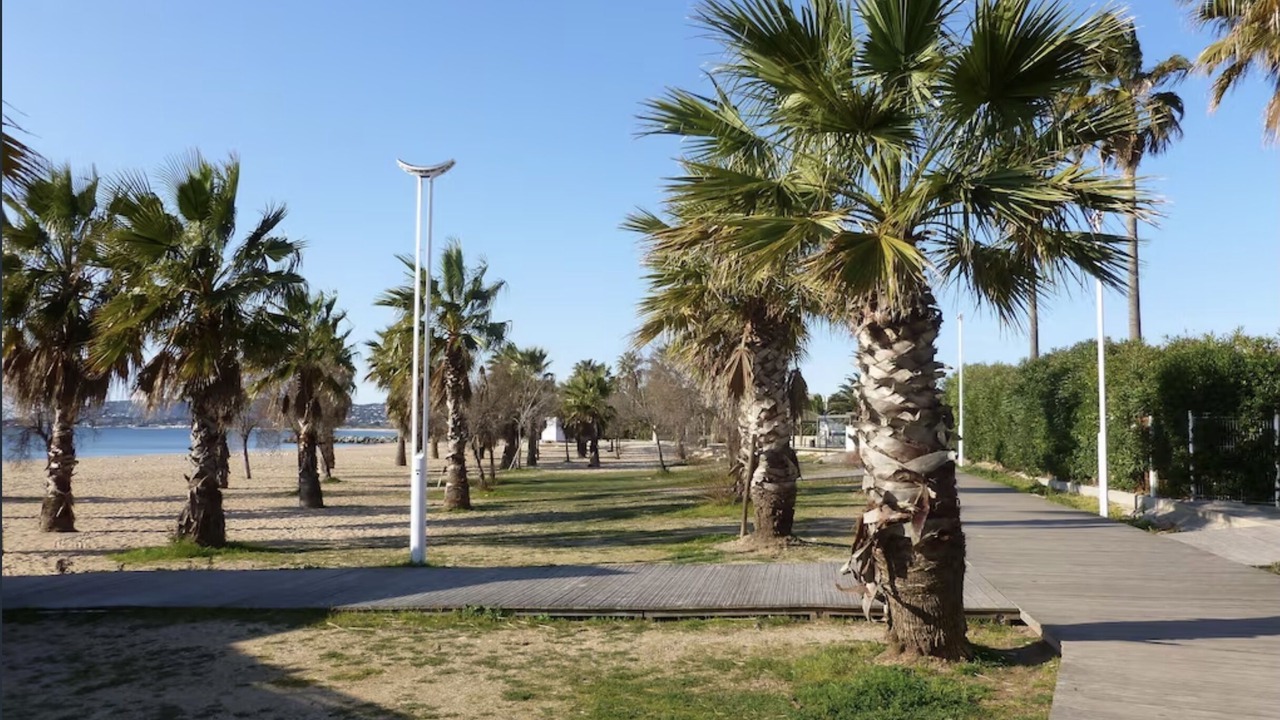 Photo of Others in Frejus Port