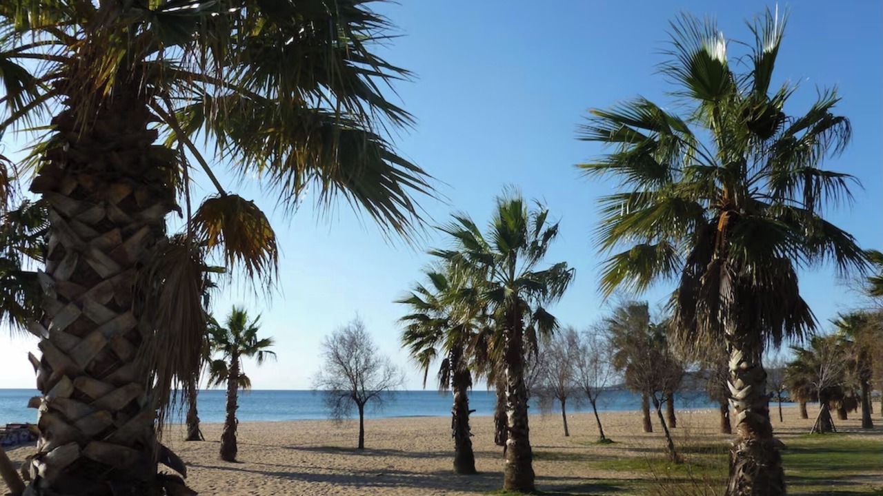 Photo of Others in Frejus Port