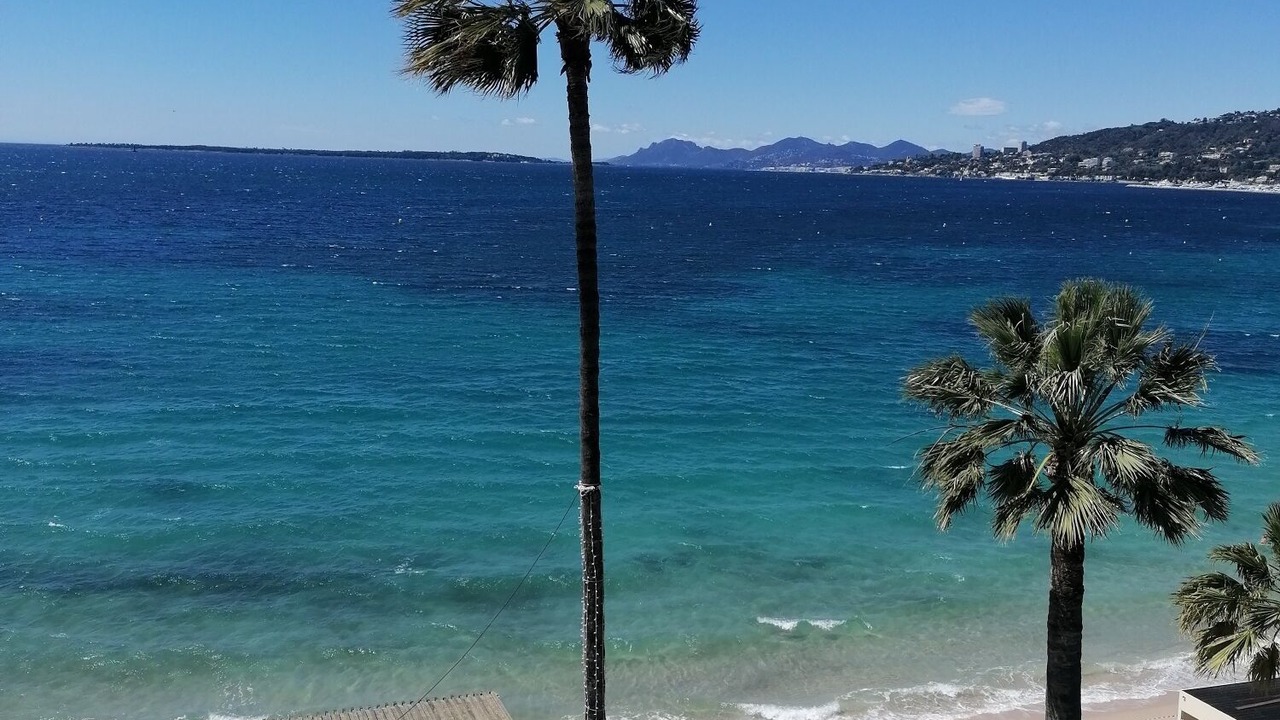 Photo of Others in Cannes