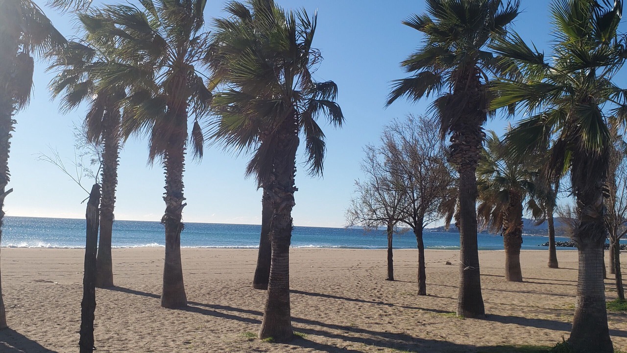 Photo of Others in Frejus Port