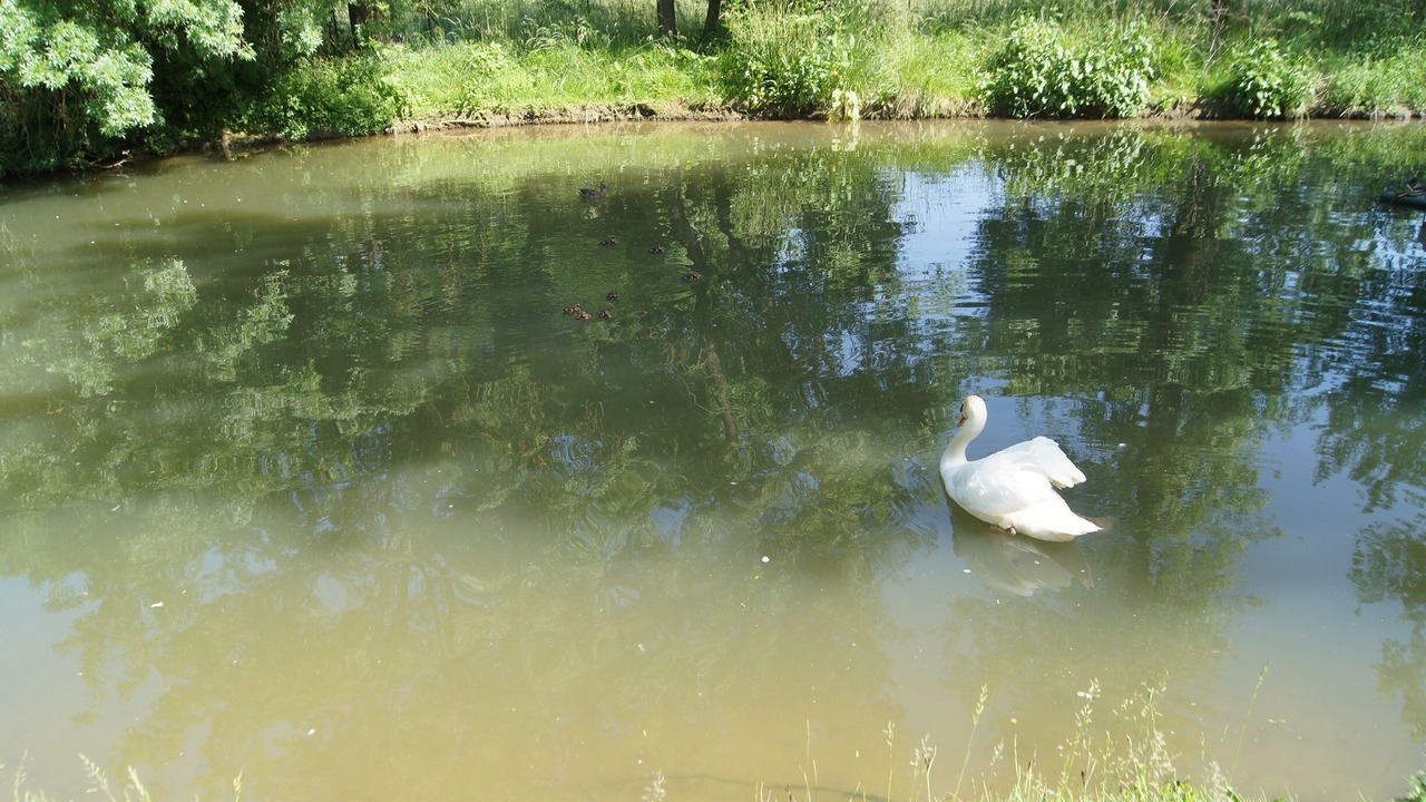 Photo of Outdoor in Chateauneuf-Grasse