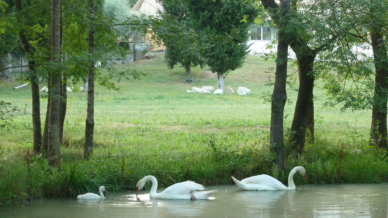 Photo of Outdoor in Chateauneuf-Grasse