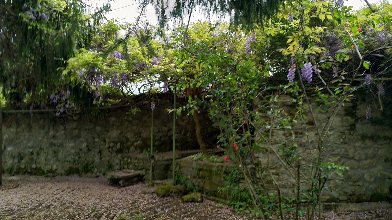 Photo of Outdoor in Gragnola