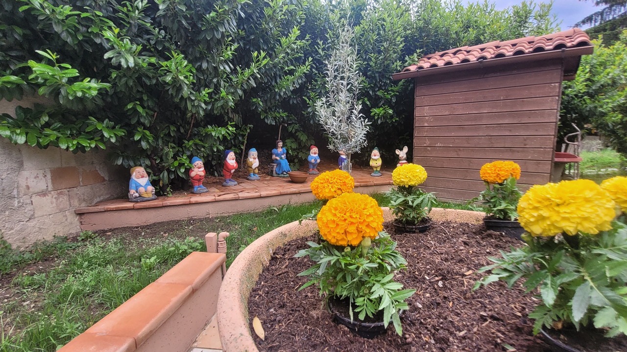 Photo of Outdoor in Gragnola