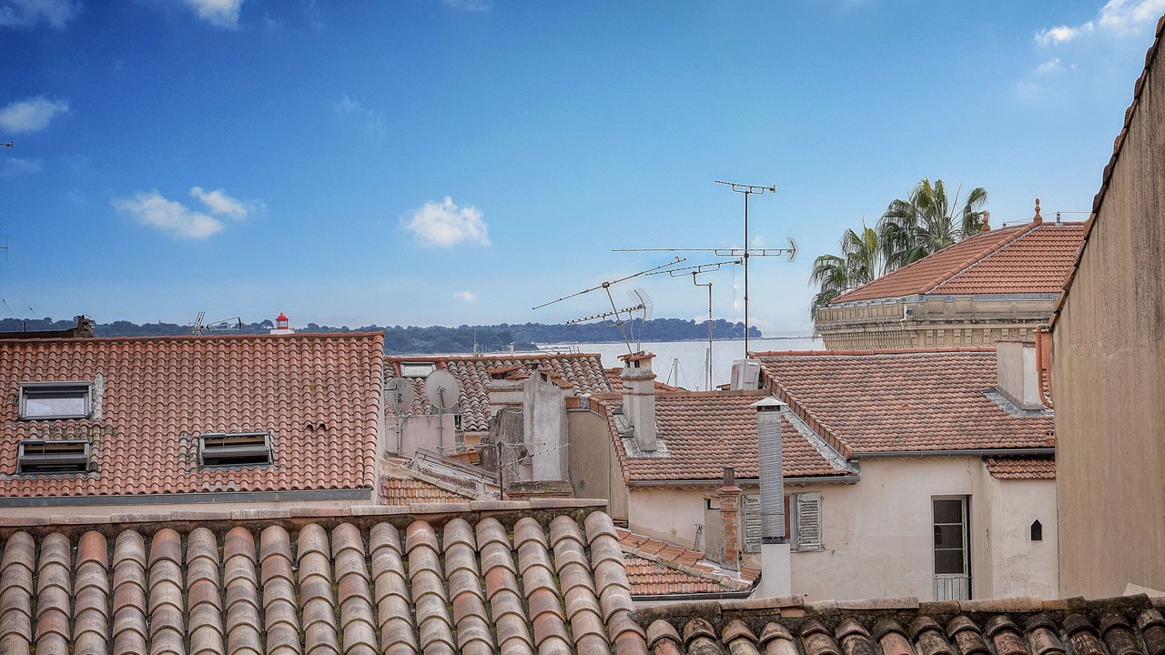Photo of Others in Le Suquet