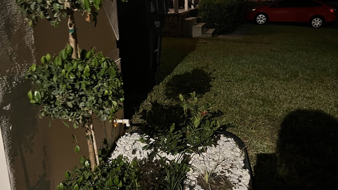 Photo of Outdoor in Pine Hills