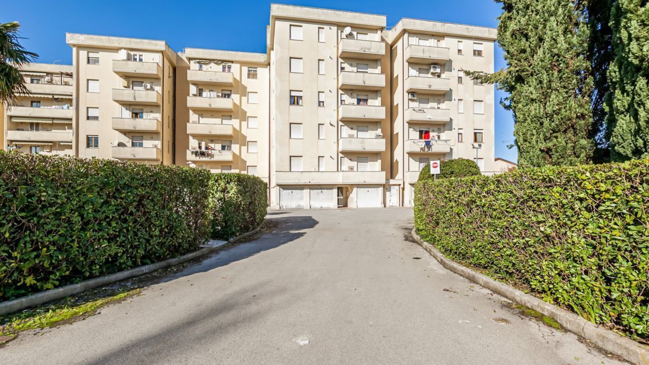 Photo of Outdoor in Pisa
