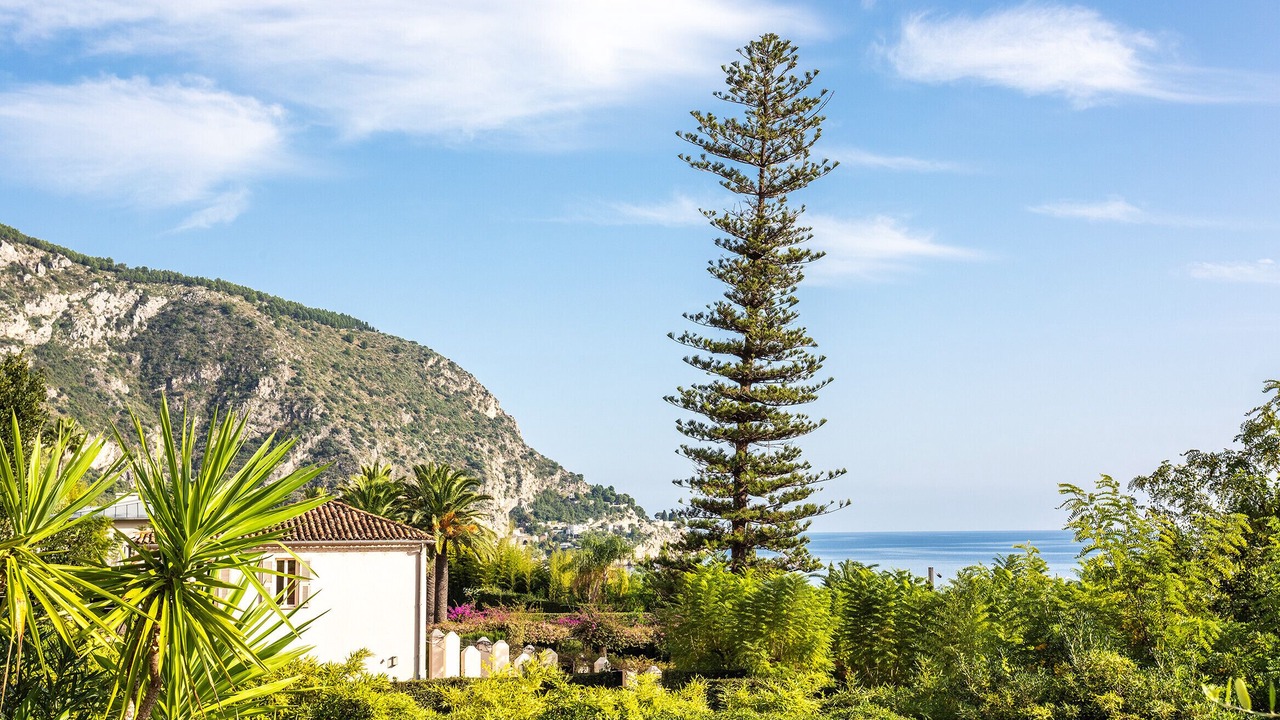 Photo of Others in Eze
