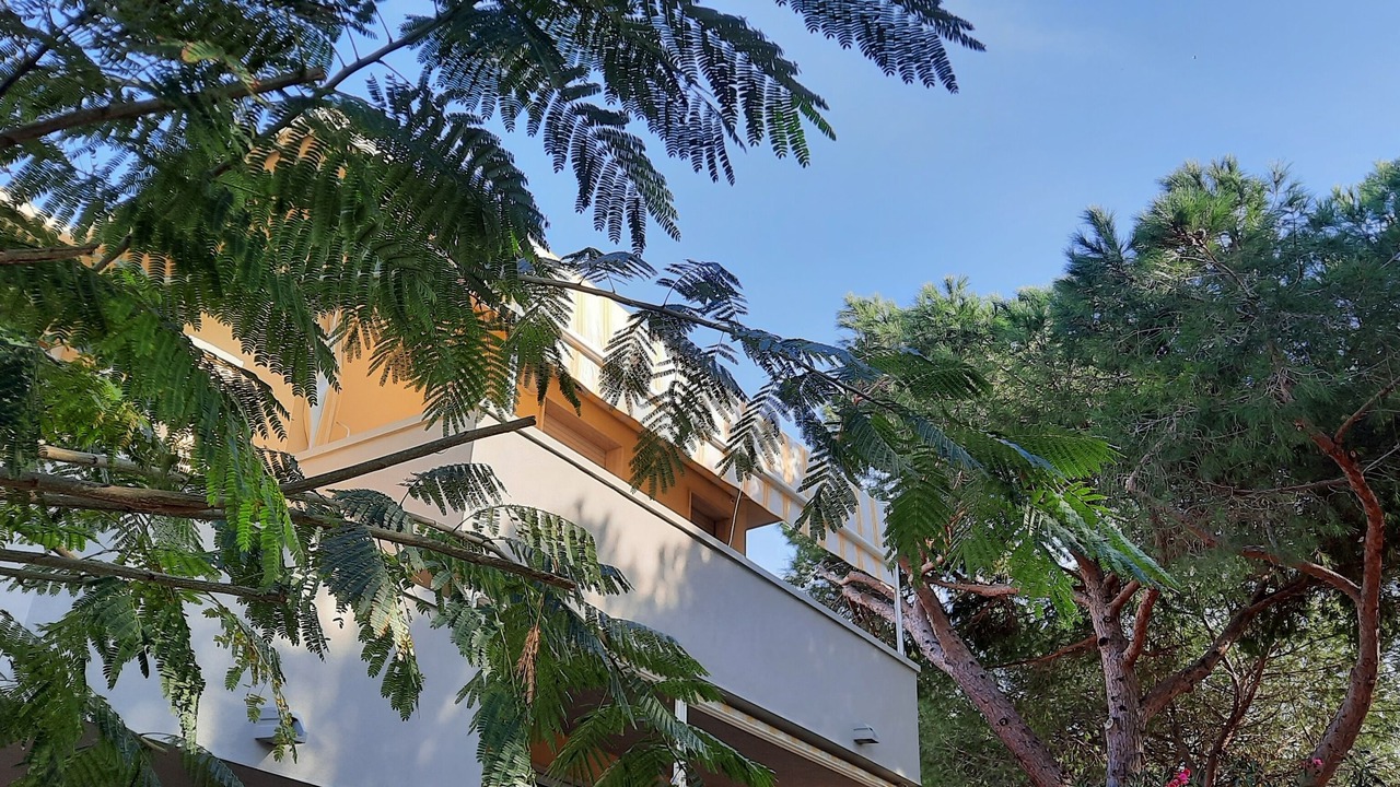 Photo of Outdoor in Mazzanta